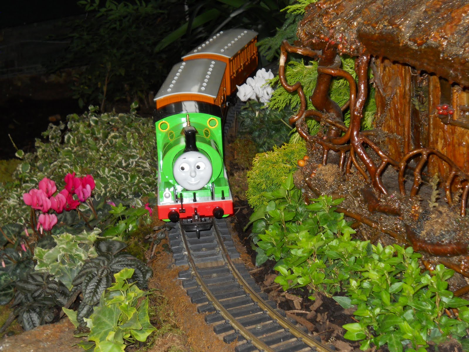 Botanical Garden Bronx Train Show