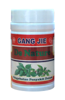 Gang Jie