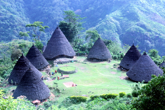 kampung adat wae rebo