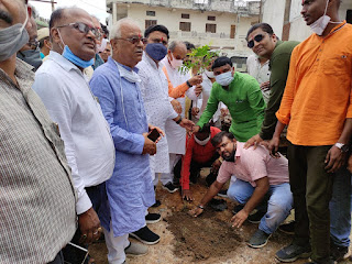 वृक्षारोपण जीवन का सबसे पुनीत कार्य - मंत्री श्री कावरे