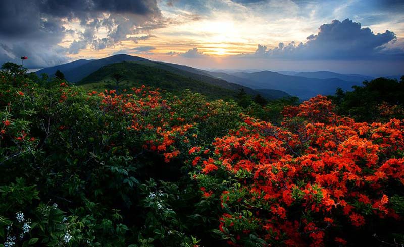 road-trips,the-timberland-company,appalachian-trail,atlanta,east-stroudsburg-university-of-pennsylvania,valley-baseball-league