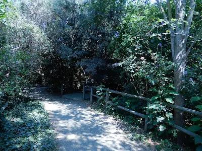 Parco Gallorose（ガッロロゼ公園）園内風景