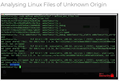 Analysing Linux Files of Unknown Origin