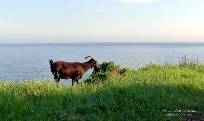 ruta-trans-euskal-herria