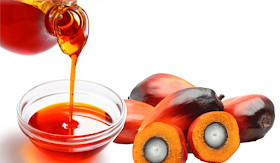 Image result for palm oil kernel