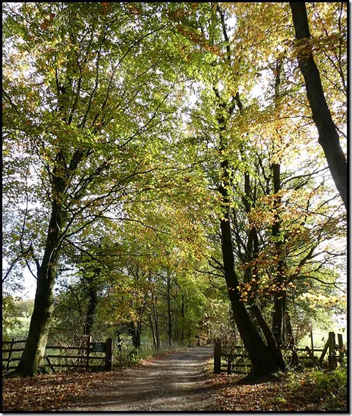 0203HockerLane2