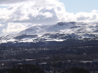 The view from Edinburgh Zoo