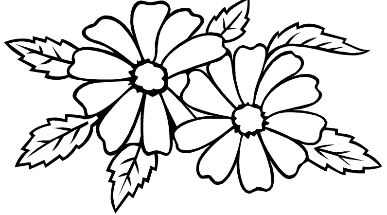 Berikut yakni beberapa kumpulan koleksi skema gambar bunga melati sebagai pola gambar  Gambar Mewarnai Bunga Melati Terbaru
