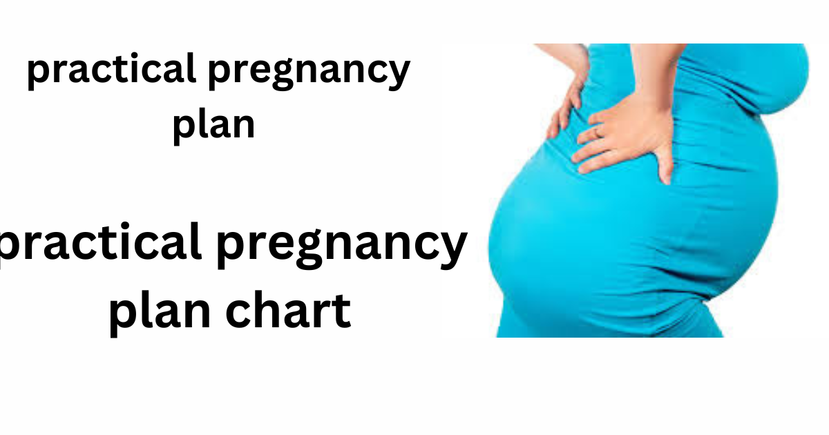 practical pregnancy plan free online information