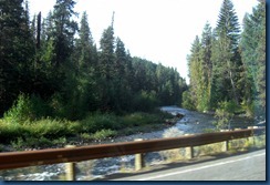 Mt. Rainier (5)