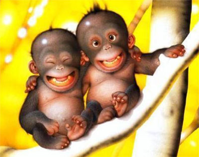 funny pics. Funny Monkey Pictures