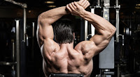 Shoulder