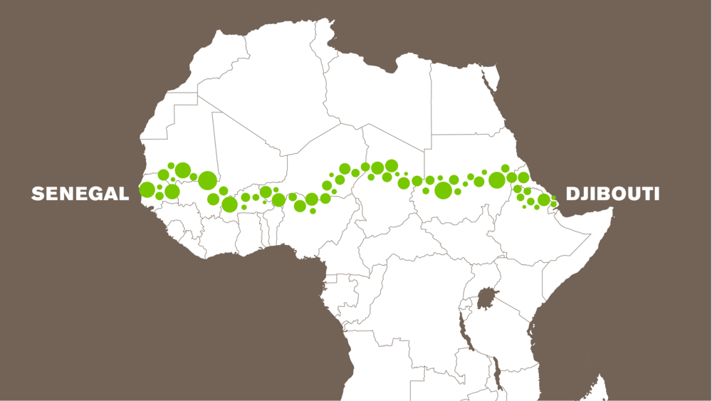 The Great Green Wall Is The Utopian Project That Could Save Earth