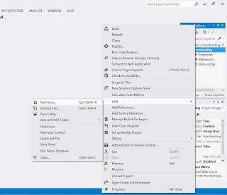 Solution Explorer Add new item 