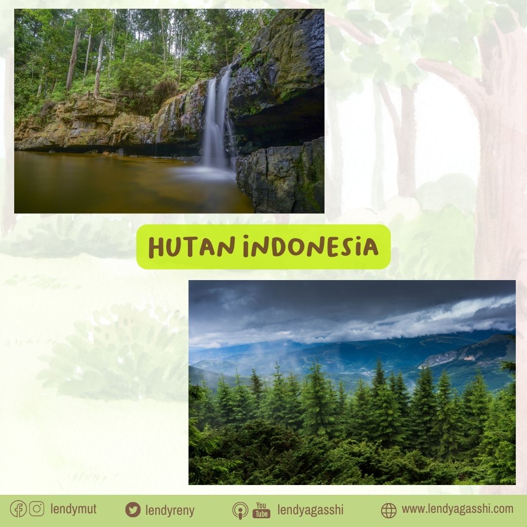 Luas Hutan Indonesia