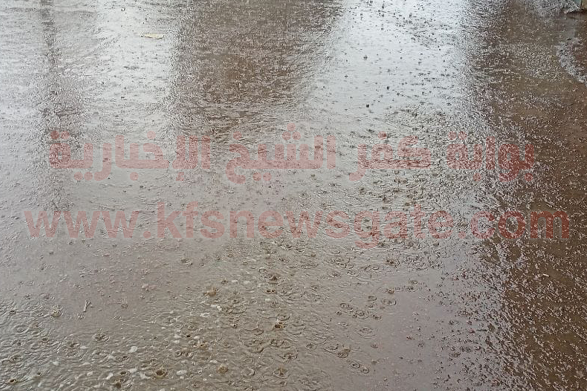 بالصور..سقوط أمطار متوسطة في كفر الشيخ والمحافظ يعلن الطوارئ