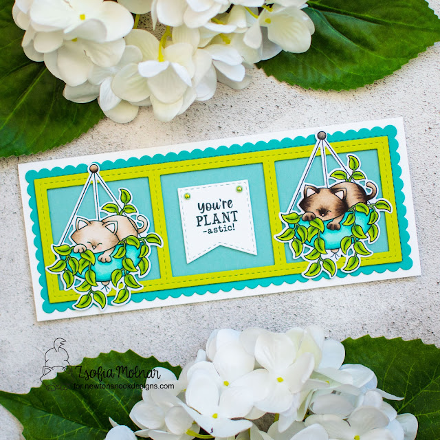 Plant-astic Kitty Card by Zsofia Molnar | Newton's Hanging Basket Stamp Set, Succulent Garden Stamp Set and Slimline Die Sets by Newton's Nook Designs #newtonsnook #handmade