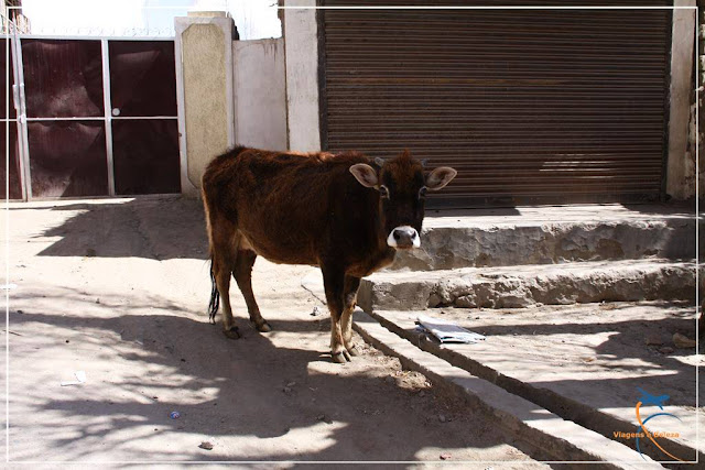 Leh, a cidade de pedra - Ladakh - Índia