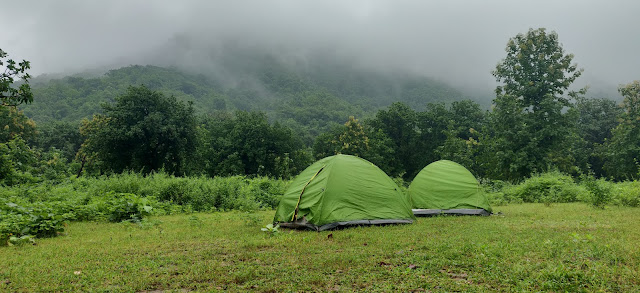 Polo Forest Travel Plan Tent Resort