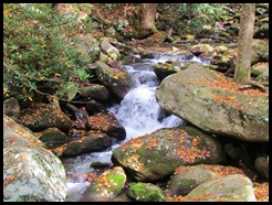 Roaring Fork stream 3