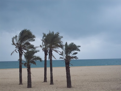 palmeras_playa_viento_marzo_ventoso_2013