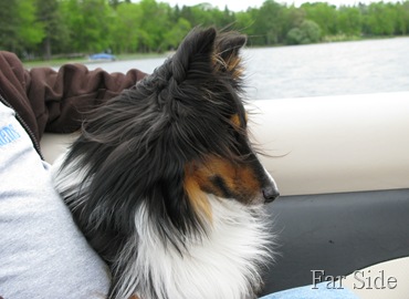 Littl Elvis and his wild hair