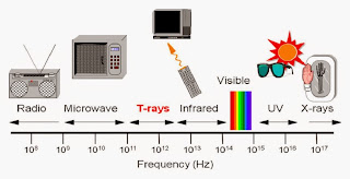  Examples of electromagnetic waves