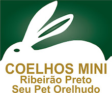 Minha foto