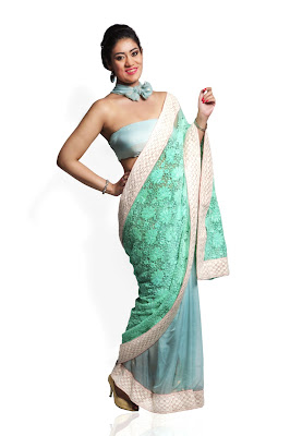 Designer Saree