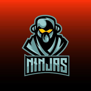 Cool Ninja Gaming Logo Image