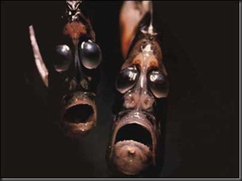 hatchetfish