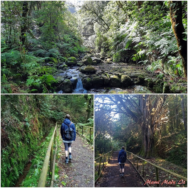 Levada Wanderung - Levada Hike