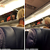 Flight Attendant Climbs Into Overhead Compartment Of Passenger Plane Go Viral