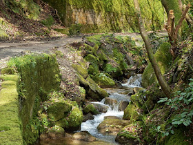 River in Gover Valley, St.Austell, Cornwall