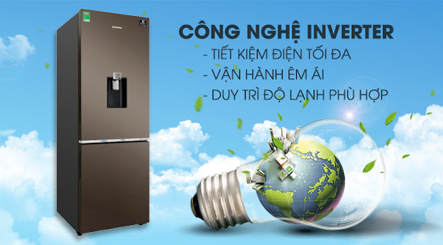 Tủ lạnh hai cửa Ngăn Đông Dưới 307L (RB30N4170DX/SV) 