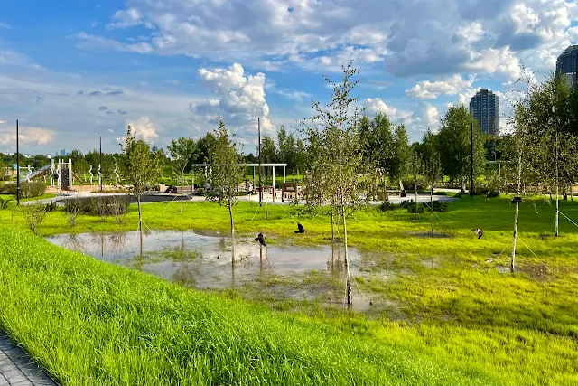 Покровская набережная, бывшее Тушинское аэрополе, «Экопарк Primavera»