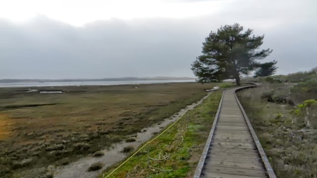 DSCN0597