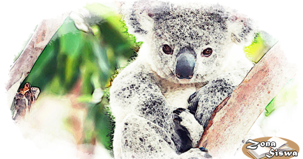 Contoh Descriptive Text Hewan: Koala + Artinya