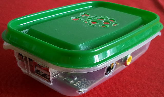 Raspberry Pi PRUTA case