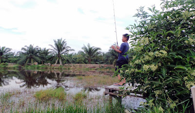 aktiviti memancing