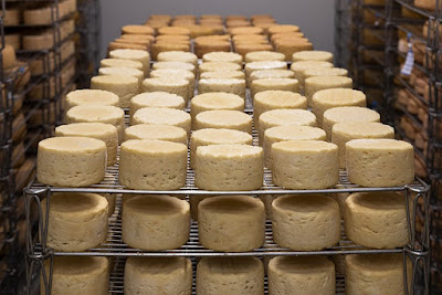الجبن النمساوي يحقق نسبة صادرات قياسية