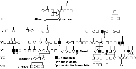 karyotype of hemophilia. victoria hemophilia