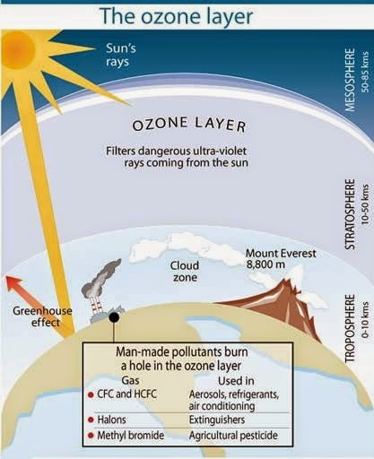 The ozone layer