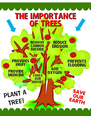 Benefit of Planting Trees- Importance of Trees in Our Life 