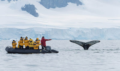 wildlife photography course