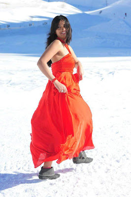 Actress Isha chawla Hot Stills