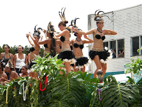 copyright 2012 All Hawaii News