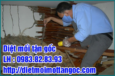 Một số mẫu thuốc trừ mối tận gốc tại nhà hiệu quả nhất