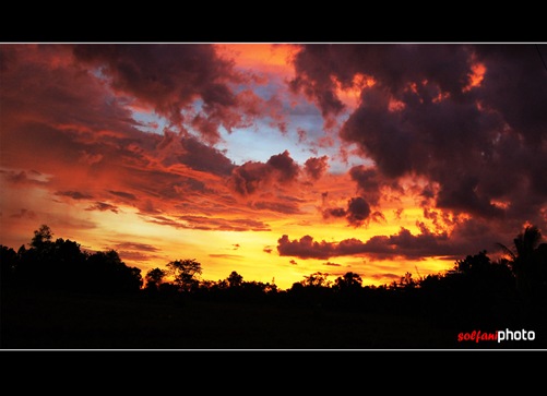 landscape1
