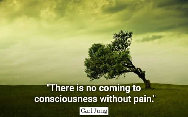 Carl Jung quotes "There iş no coming to consciousness without pain."